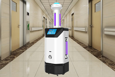 �����C����